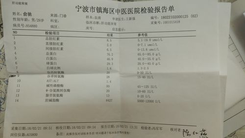 抽血檢驗(yàn)報(bào)告單匯總與肝癌血漿microRNA標(biāo)志物檢測報(bào)告系統(tǒng)