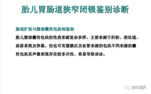 胎兒消化系統(tǒng)超聲檢查與肝癌血漿microRNA標(biāo)志物檢測報告系統(tǒng)的綜合應(yīng)用